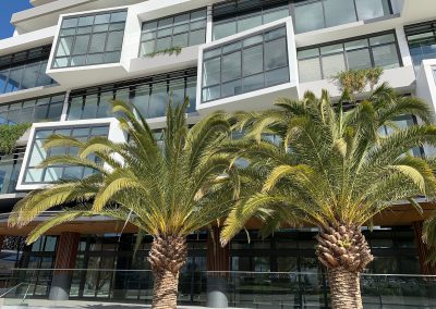 Enjoy year round living with Breezway Louvres in wintergarden spaces